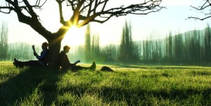 ağaç altında kitap okumak